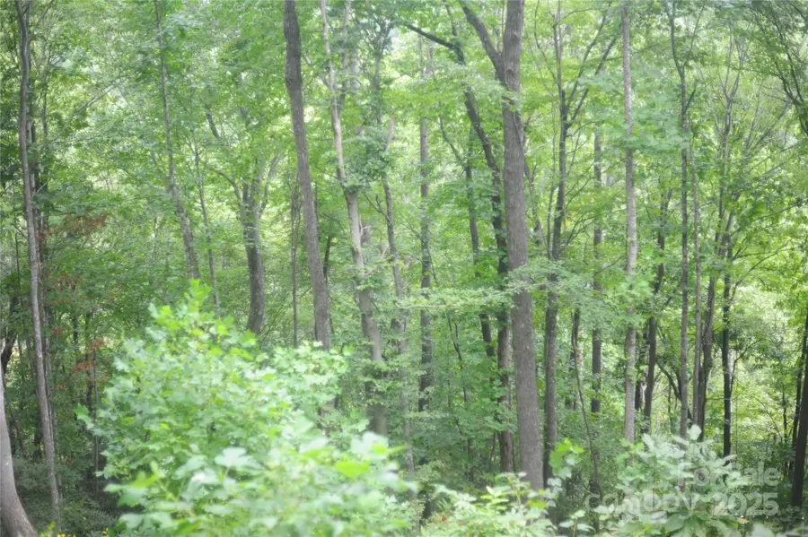 9 Wood Haven Lane #108, Black Mountain, NC 28711 - Image #3