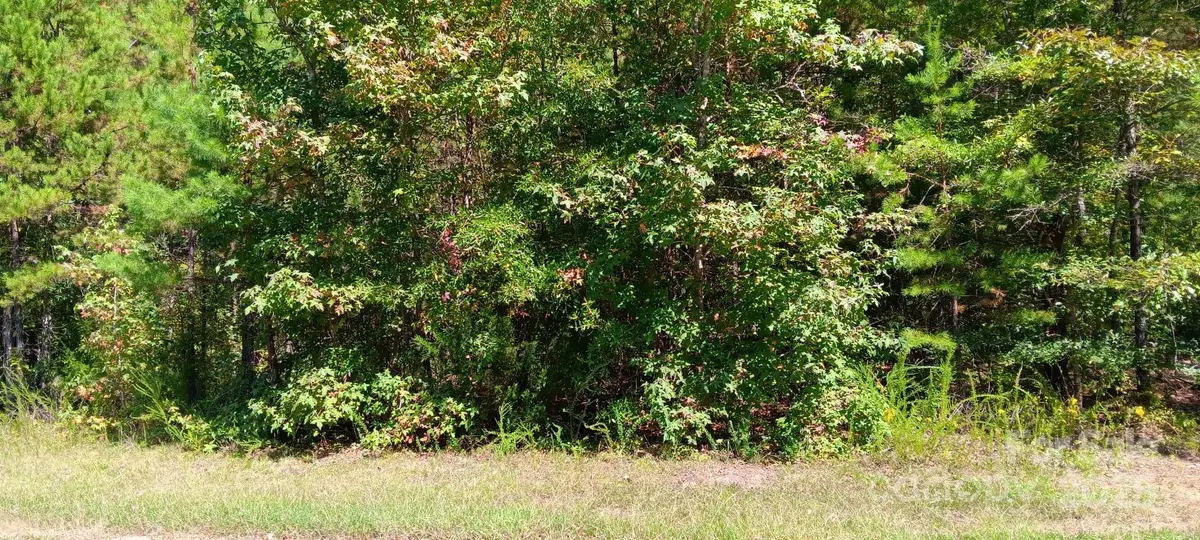 0 First Corriher Street, China Grove, NC 28023 - Image #1