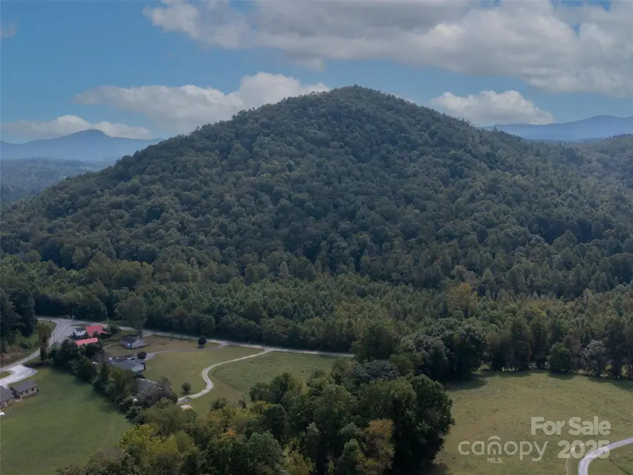 99999 Montford Cove Road, Marion, NC 28752 - Image #2