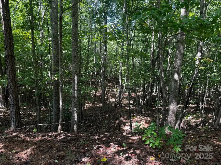 0000 Lake Haven Drive, Lake Lure, NC 28746 - Image #3