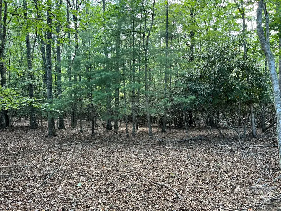 TBD (Lot 34) Fox Crest Overlook None, Laurel Springs, NC 28644 - Image #2