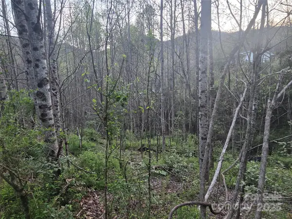 Lt 1 Running Water Circle #1, Sylva, NC 28779