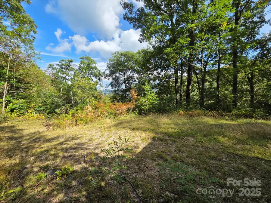 720 Autumn Drive, Maggie Valley, NC 28751 - Image #2