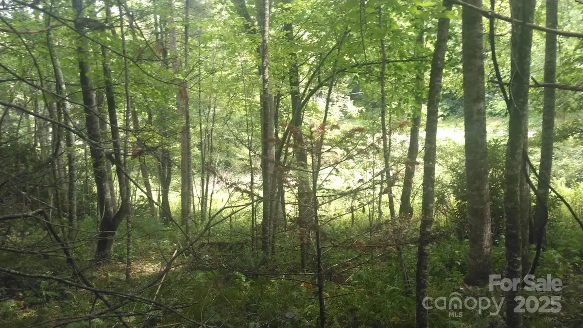 7360 Nc 183 Highway, Newland, NC 28657 - Image #1