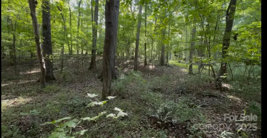 1402 Bloomsberry Lane, Waxhaw, NC 28173 - Image #2