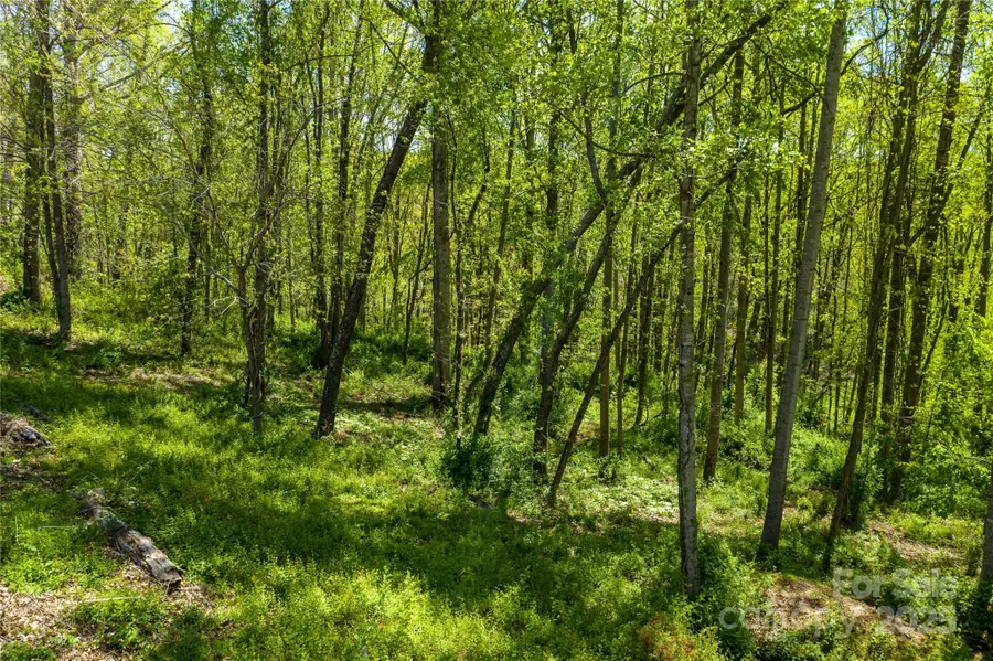 9999 Bee Balm Way #55, Asheville, NC 28804 - Image #2