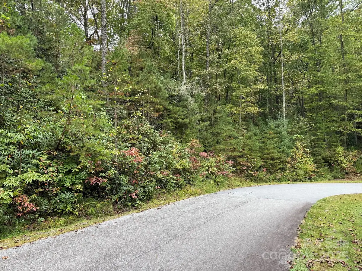 TDB Fern Cove Lane #44, Pisgah Forest, NC 28768 - Image #1