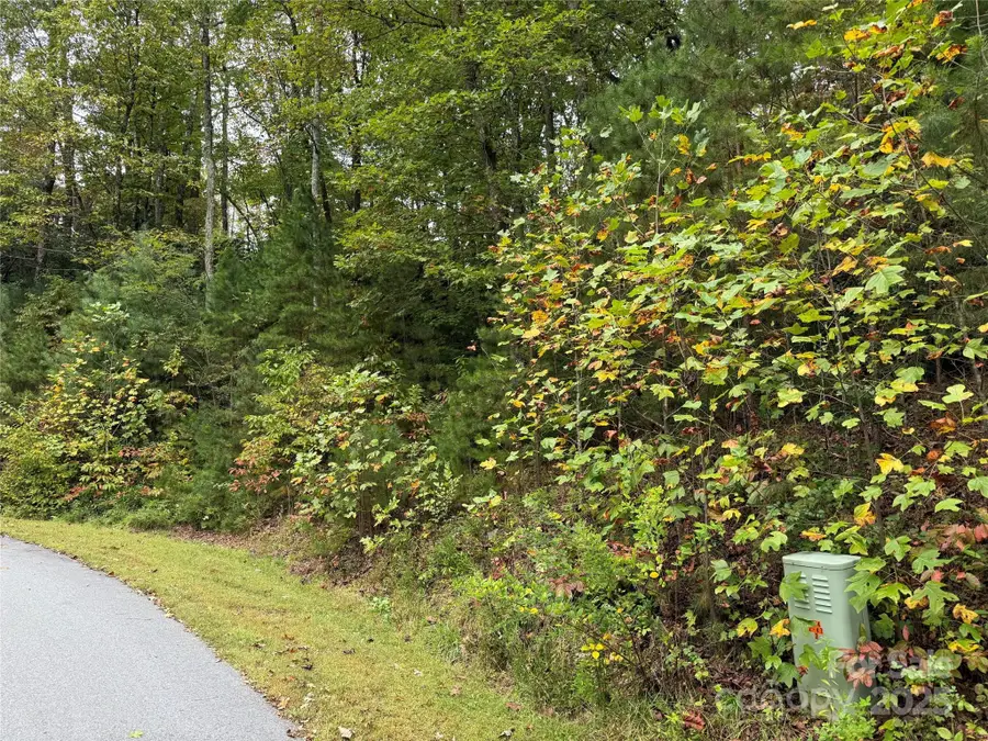 TDB Fern Cove Lane #44, Pisgah Forest, NC 28768 - Image #2