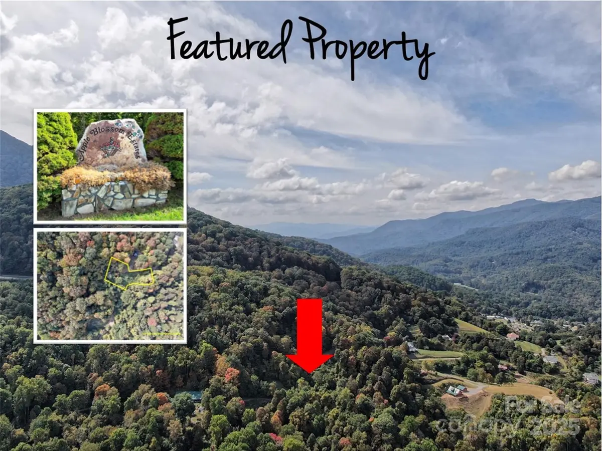 00 Ellenberger Drive #401, Waynesville, NC 28786 - Image #1