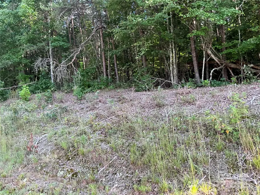 TBD D G Echerd Road #2, Taylorsville, NC 28681 - Image #3