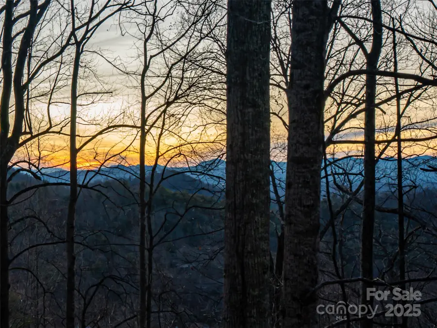 116 Hawk Ridge, Asheville, NC 28804 - Image #2