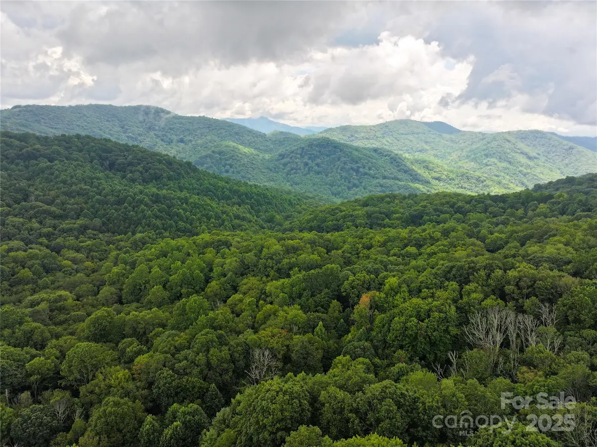 9.83 Acres Juniper Road #23, Hot Springs, NC 28743 - Image #1