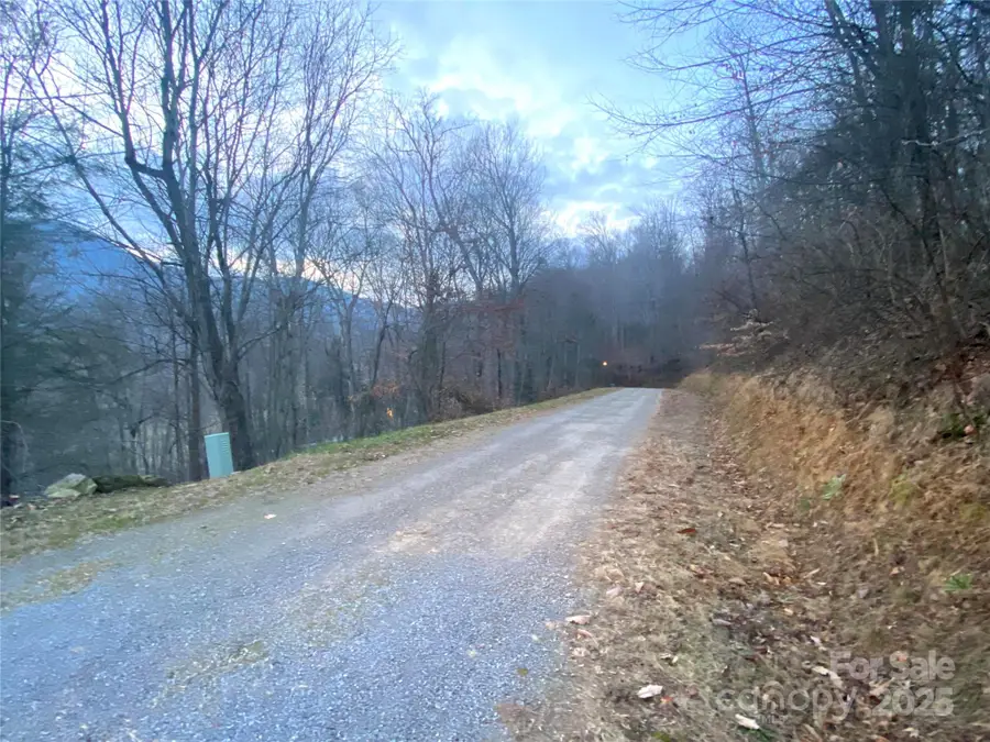0 Asa Trail, Waynesville, NC 28785 - Image #2