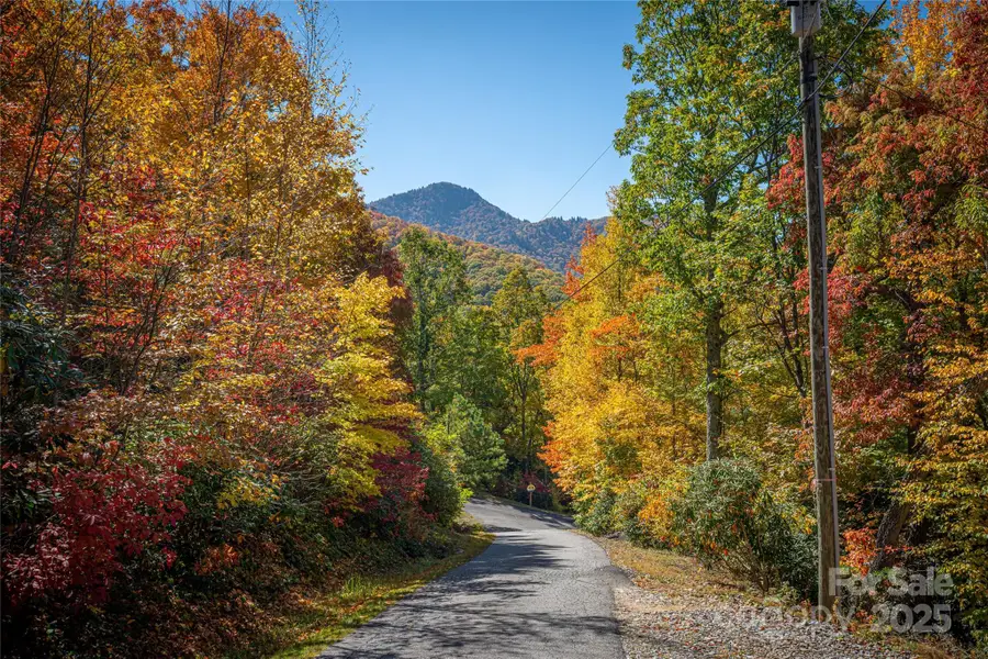 205 Chickadee Lane #205, Maggie Valley, NC 28751 - Image #2