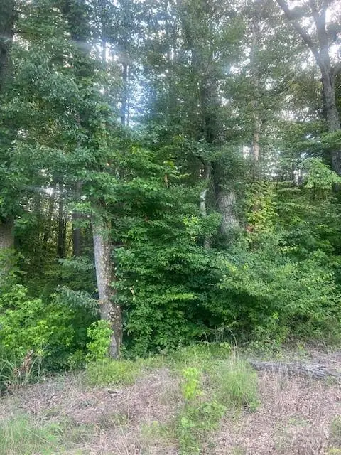 0000 Nc Hwy 73 Highway, Stanley, NC 28164 - Image #1