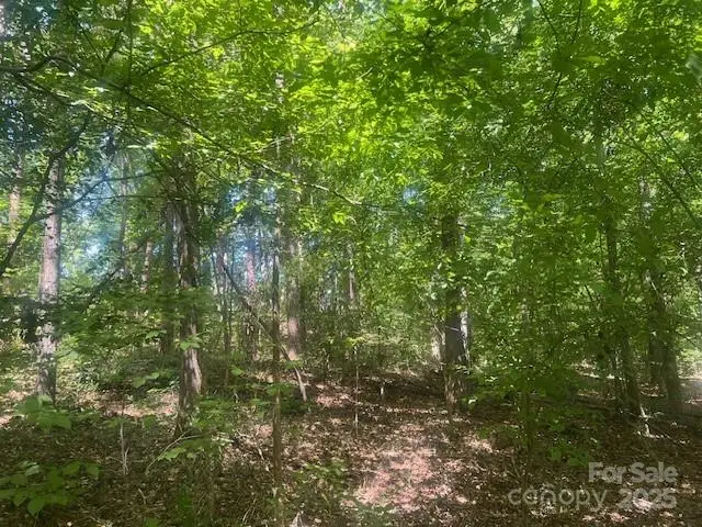 0000 Nc Hwy 73 Highway, Stanley, NC 28164 - Image #2