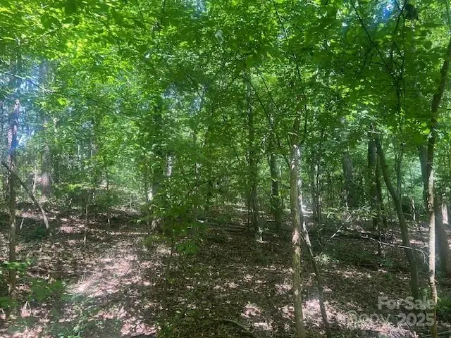 0000 Nc Hwy 73 Highway, Stanley, NC 28164 - Image #3