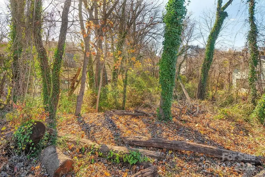 99999 Millbrook Road, Asheville, NC 28806 - Image #2