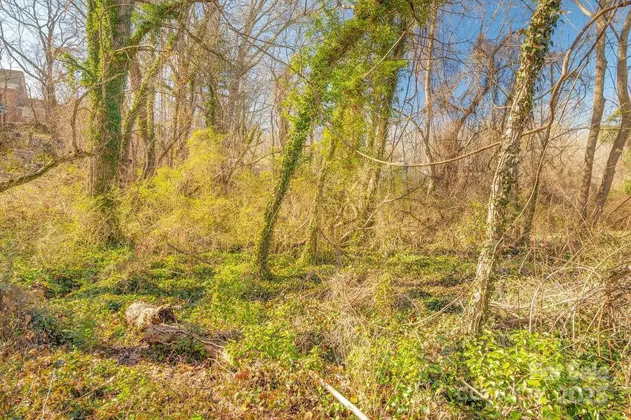 99999 Millbrook Road, Asheville, NC 28806 - Image #3