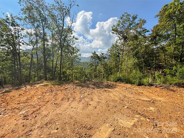 8888 Cedar Creek Farm Road, Tuckasegee, NC 28783