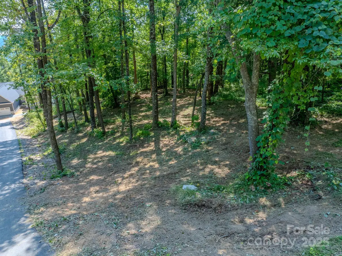 0000 Pinnacle Mountain Road #1, Hendersonville Township, NC 28731 - Image #1