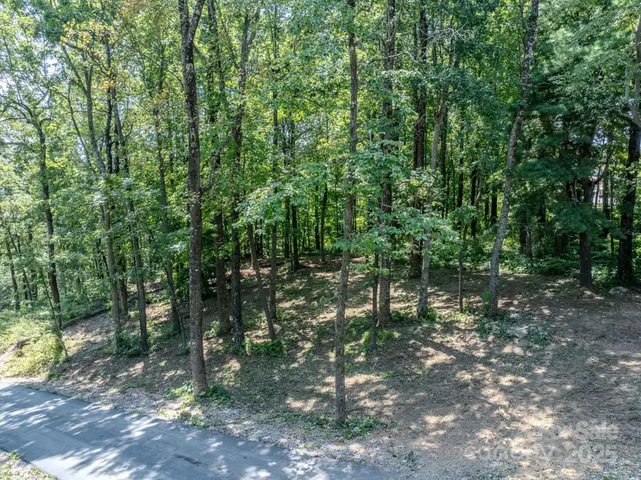 0000 Pinnacle Mountain Road #1, Hendersonville Township, NC 28731 - Image #2