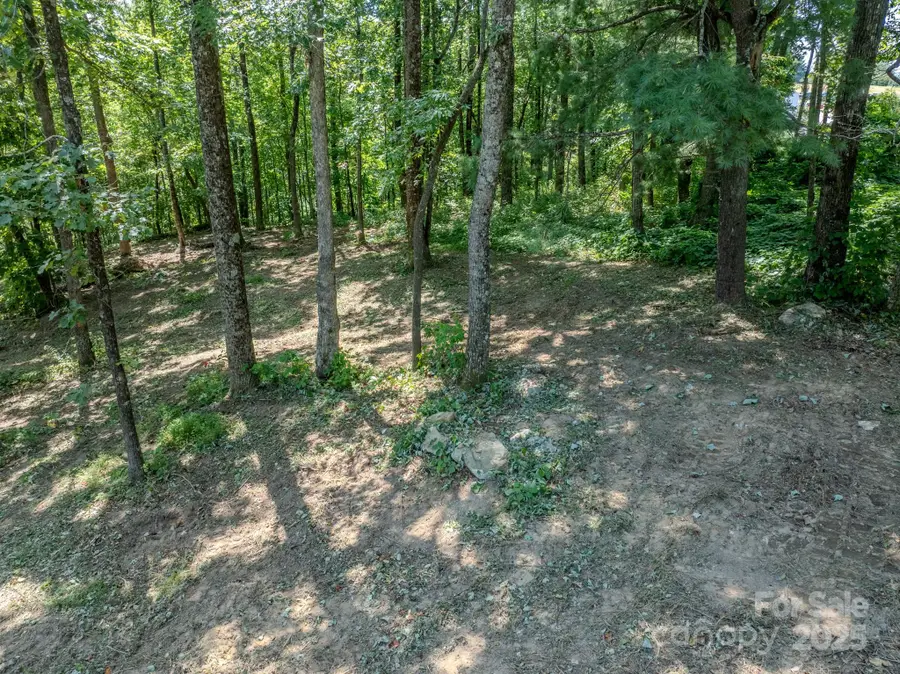 0000 Pinnacle Mountain Road #1, Hendersonville Township, NC 28731 - Image #3