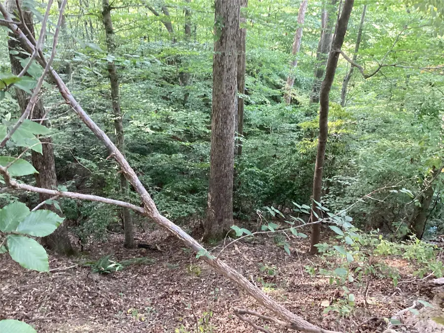 00 Rosewood Lane, Gaffney, SC 29340 - Image #2