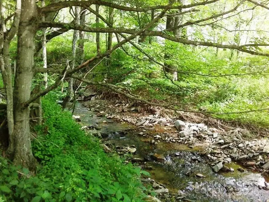 3771 Us Highway 421 Highway N, Vilas, NC 28692 - Image #3