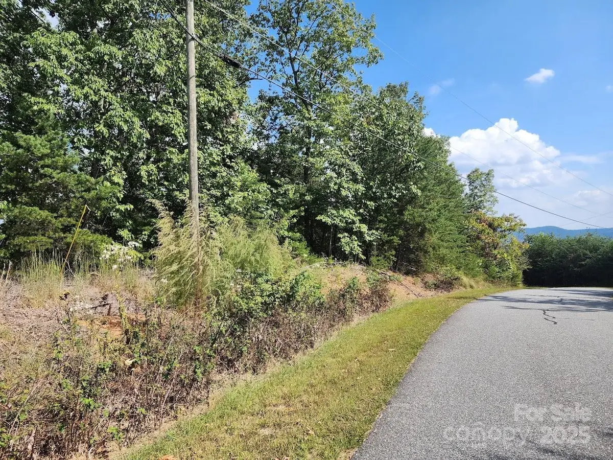 38 Arbra Mountain Way, Bostic, NC 28018 - #1