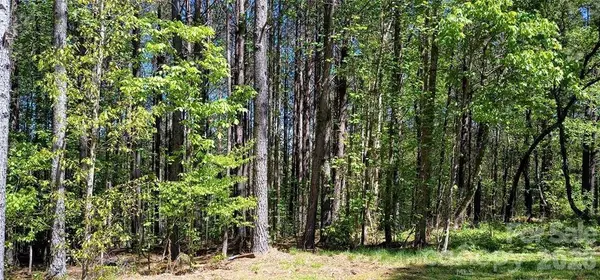 158 Table Rock Trace Nw, Valdese, NC 28690