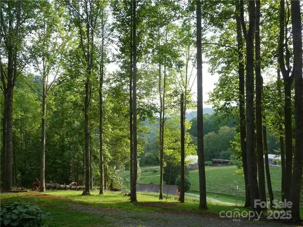 0 Joe Shoemaker Road, Vilas, NC 28692