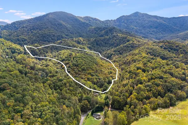 99999 S Hidden Cove Road, Leicester, NC 28748