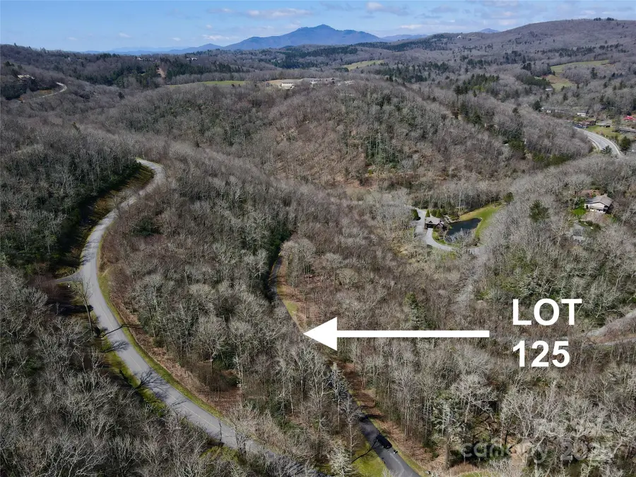 125 Stoneledge Lane #125, Blowing Rock, NC 28605 - Image #2