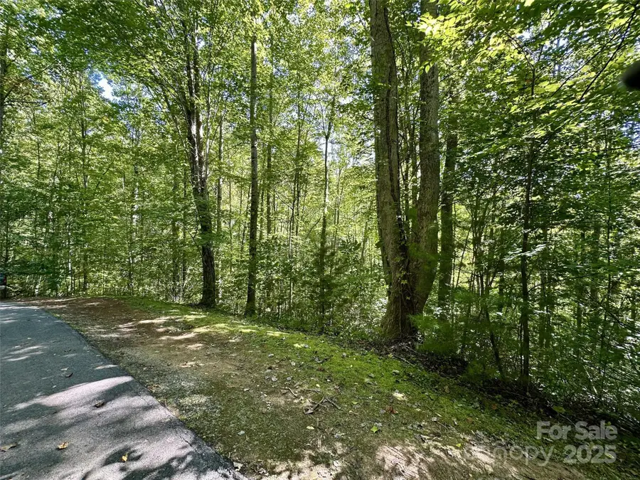 00 Loblolly Way #C11, Maggie Valley, NC 28751 - Image #3
