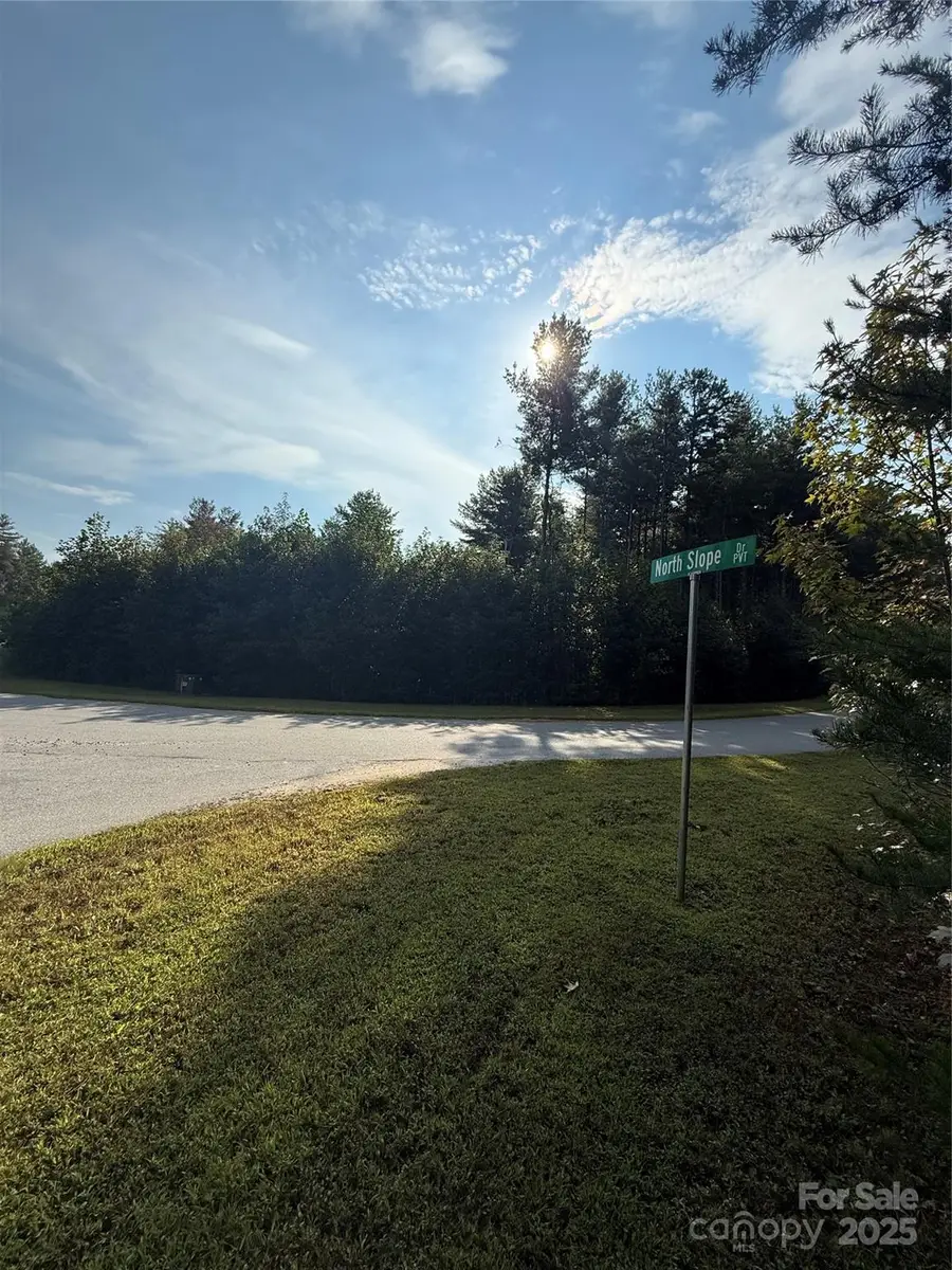 9999 Peninsula Reserve Road, Nebo, NC 28761 - Image #2