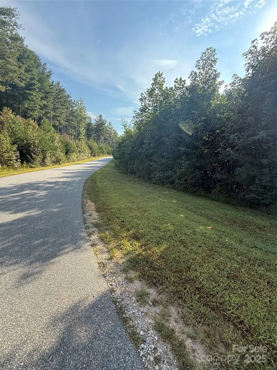 9999 Peninsula Reserve Road, Nebo, NC 28761 - Image #3