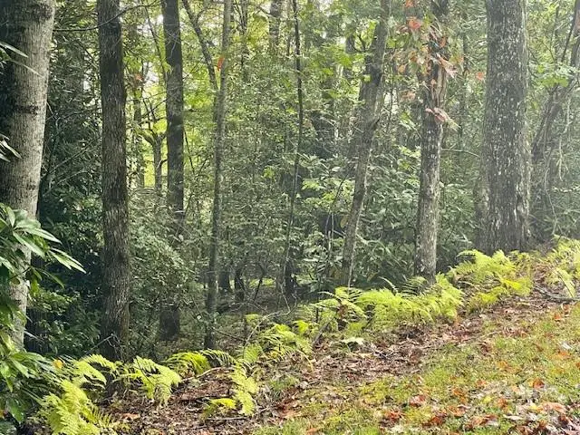 00 Mcdonald Court, Pisgah Forest, NC 28768 - Image #2