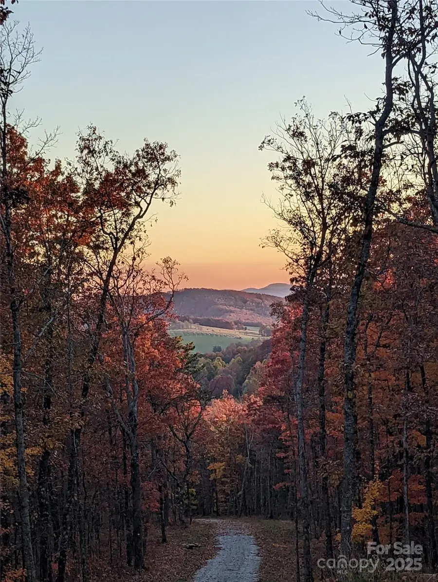 343 E Marshall Ridge Road, Hendersonville, NC 28792 - Image #3