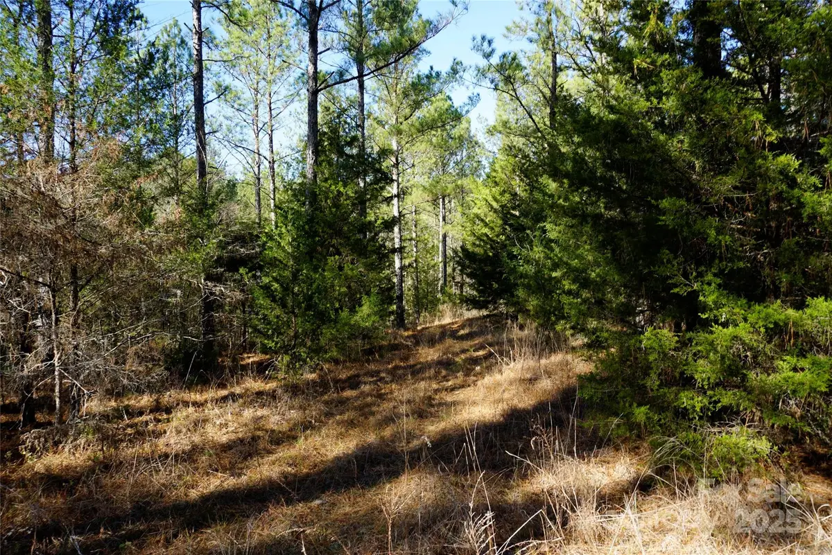 6+/- AC LOT 2 Skyline Drive, Chester, SC 29706 - Image #1
