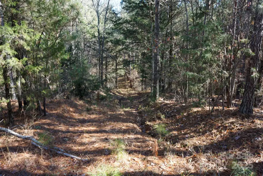 6+/- AC LOT 2 Skyline Drive, Chester, SC 29706 - Image #2
