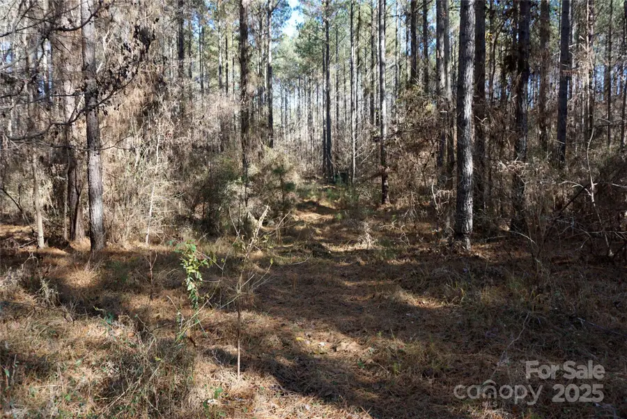 6+/- AC LOT 2 Skyline Drive, Chester, SC 29706 - Image #3