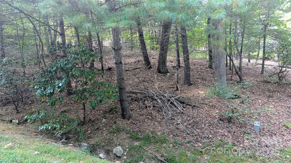 101 Scenic Drive #74, Flat Rock, NC 28731 - #1