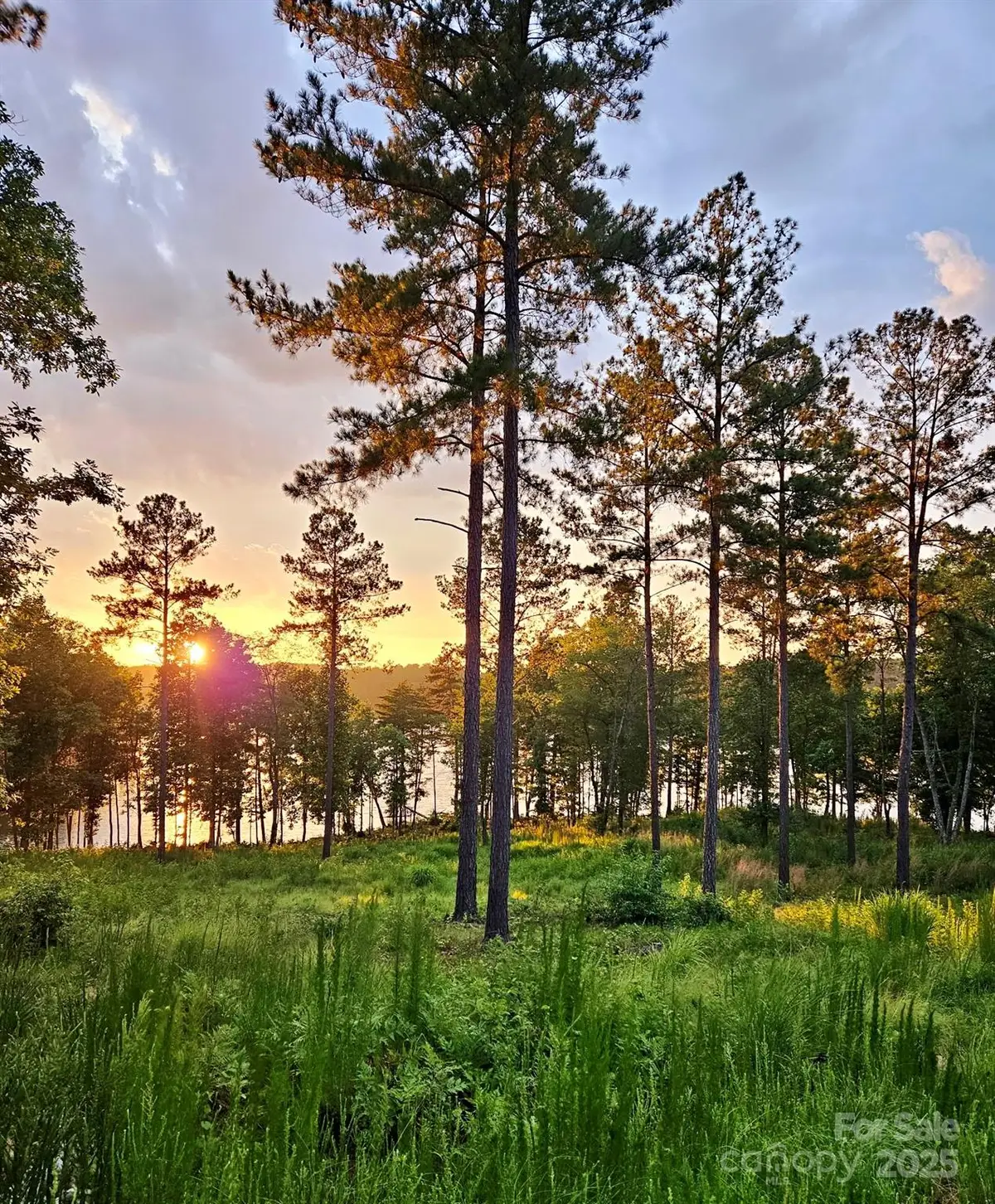 3067 Jumping Run #103, Connelly Springs, NC 28612 - Image #1