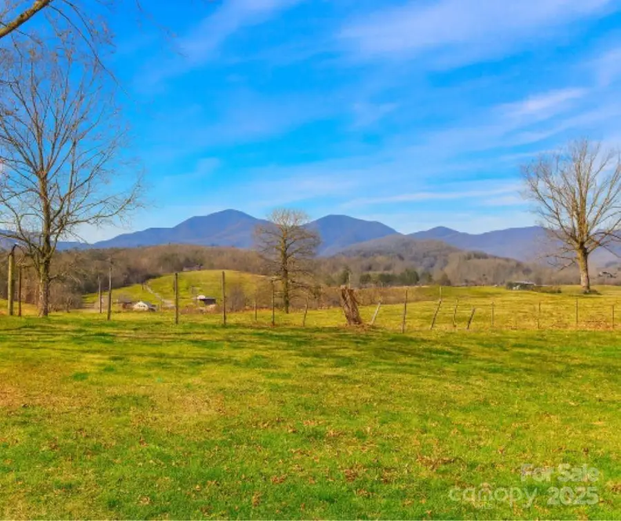 62 Douglas Drive, Leicester, NC 28748 - Image #2