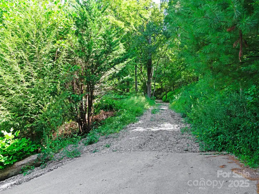 125 Floribunda Path #Lot 8A, Asheville, NC 28803 - Image #3