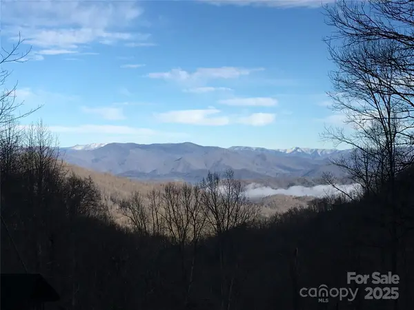 831 Forest Run Road, Whittier, NC 28789