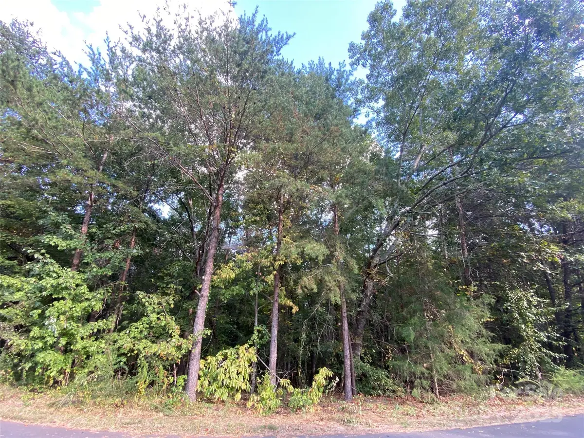 1301 Shadowfax Wynd None #51, Hickory, NC 28602 - Image #1