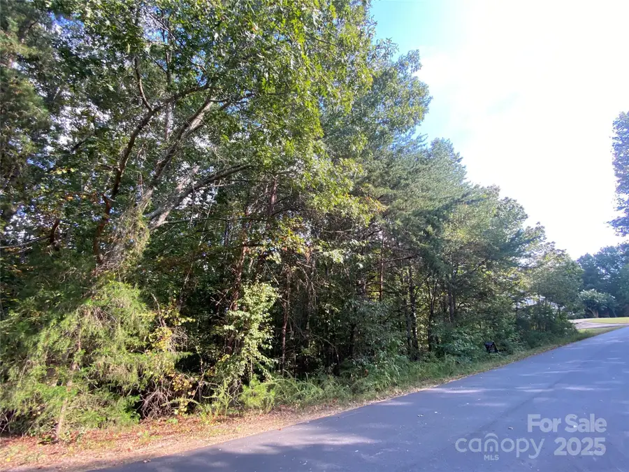 1301 Shadowfax Wynd None #51, Hickory, NC 28602 - Image #2