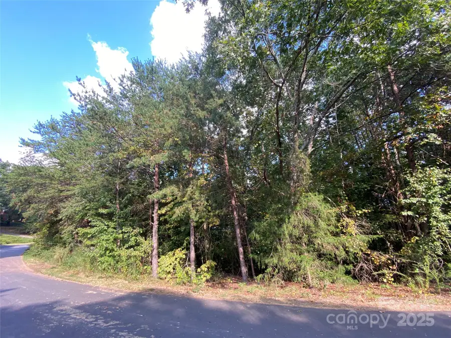 1301 Shadowfax Wynd None #51, Hickory, NC 28602 - Image #3